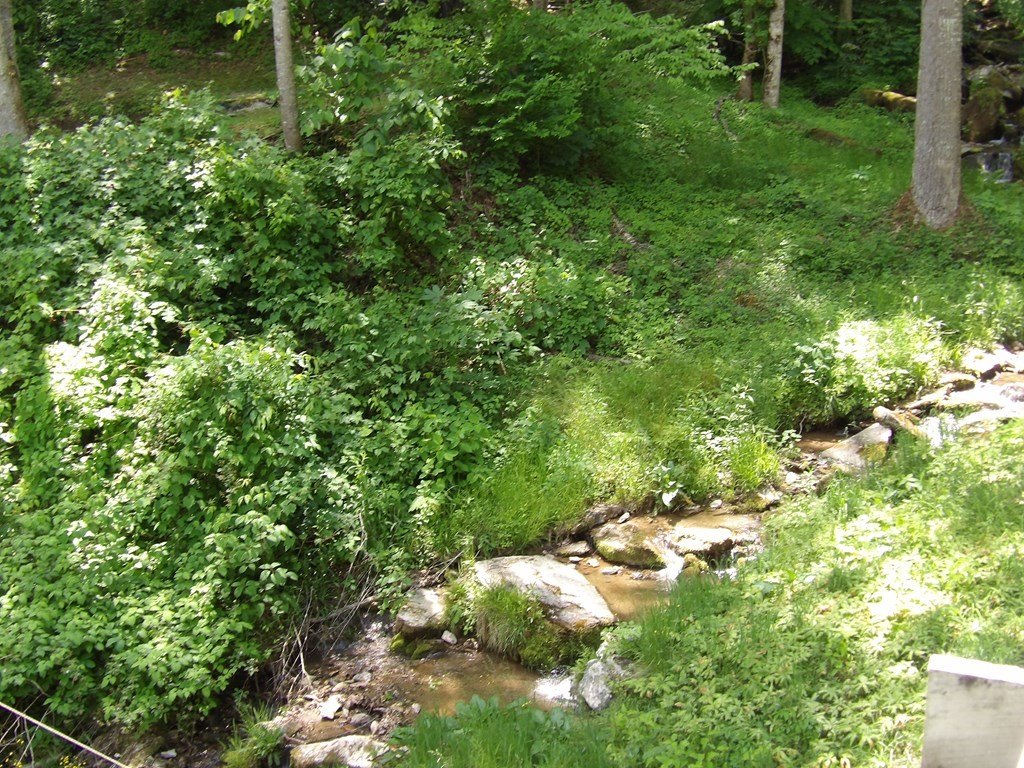 Picture 15