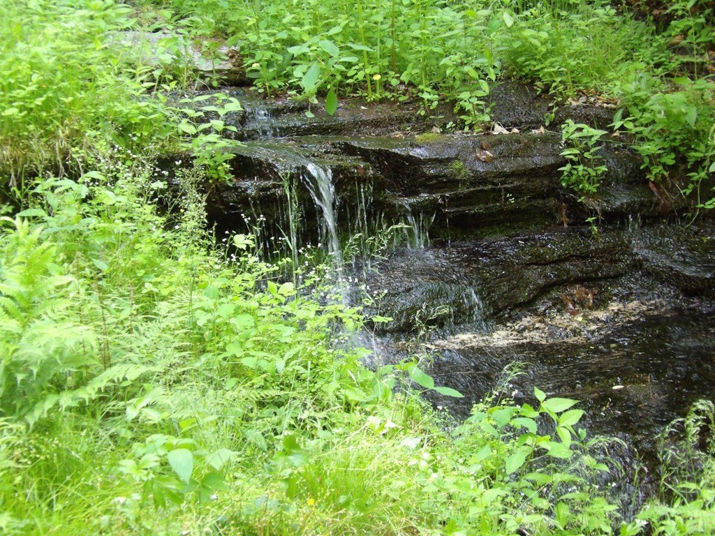 Picture 16