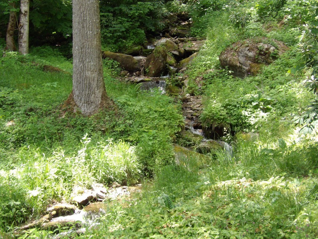 Picture 4