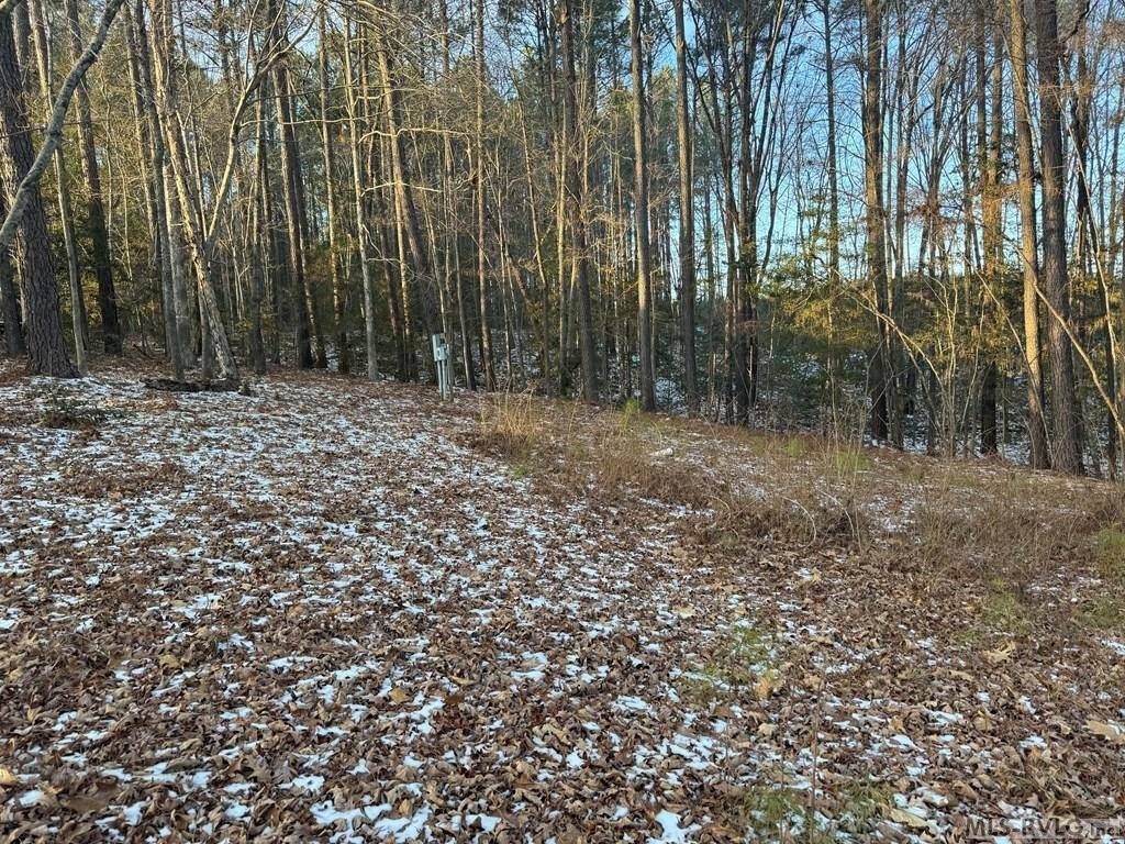 Picture 18