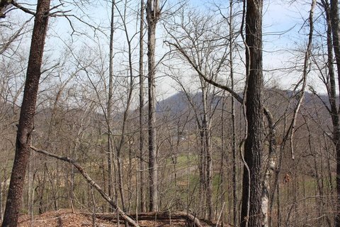 Hayesville, NC Vacant Lot