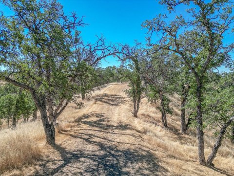 Red Bluff 14-Acre Lot