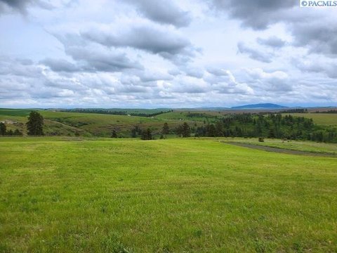 Picturesque Land with Palouse Views