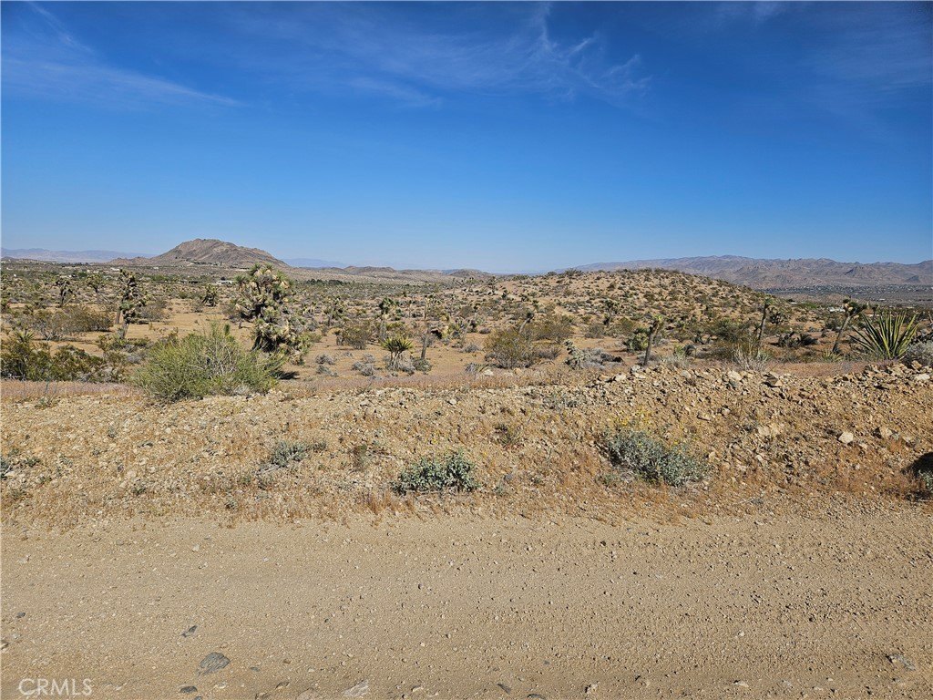Picture 5