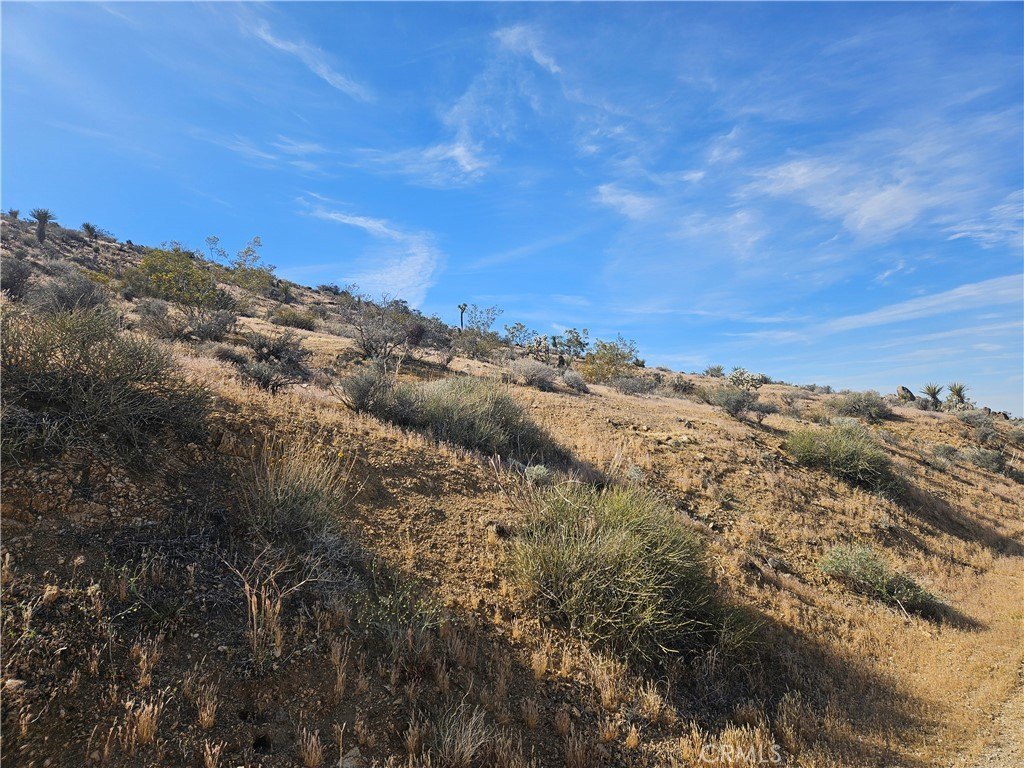 Picture 4