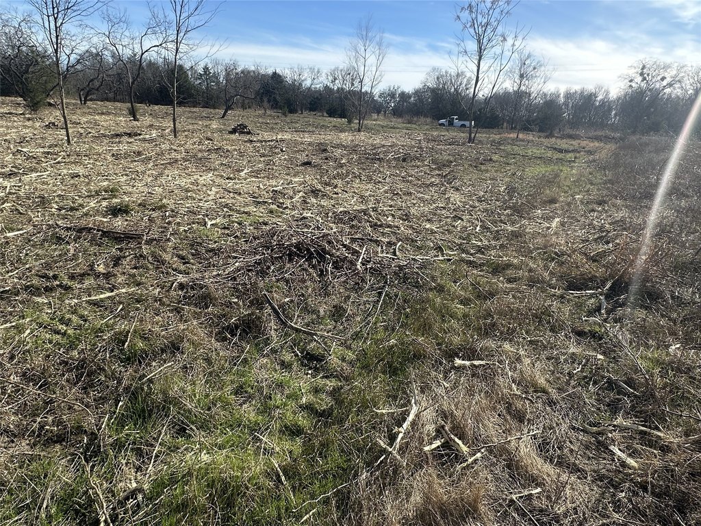 Picture 4