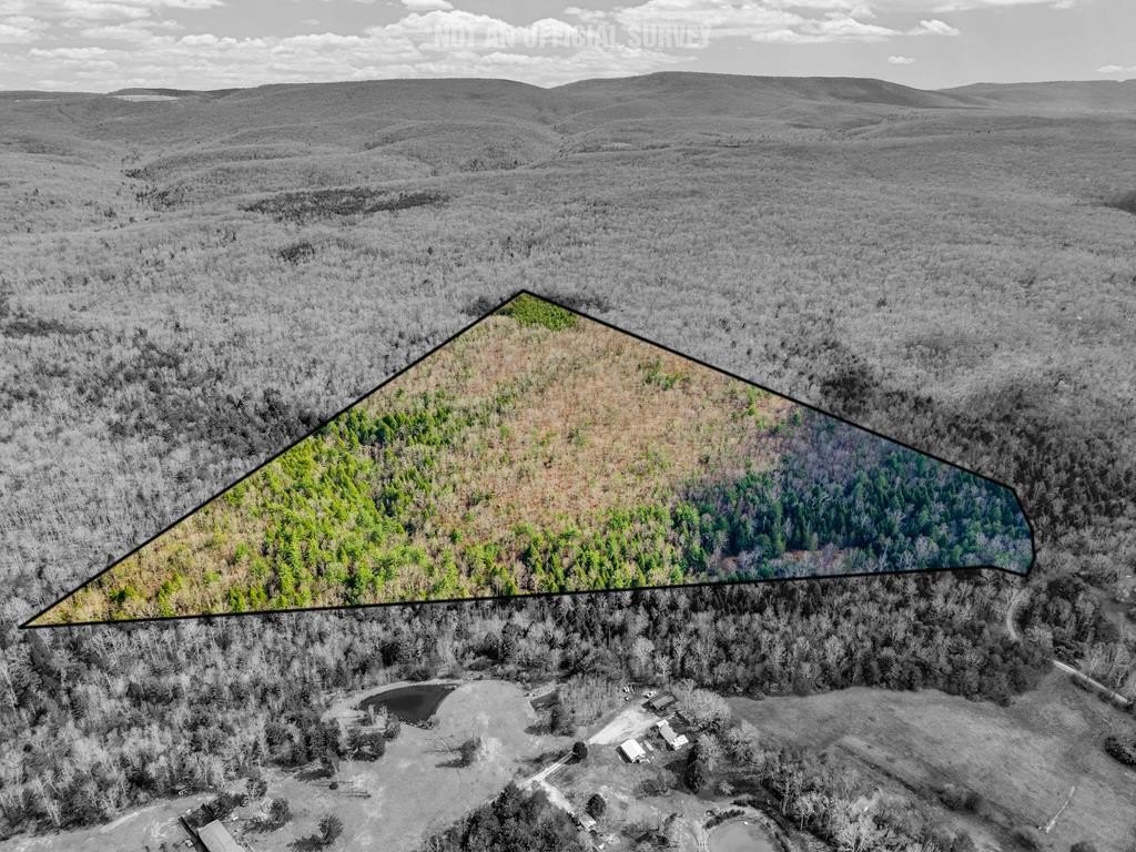 Crab Orchard Wooded Land Parcel