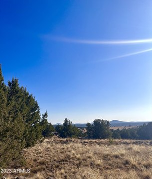 Concho, AZ 4.2 Acre Lot