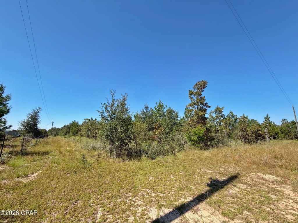 Picture 4