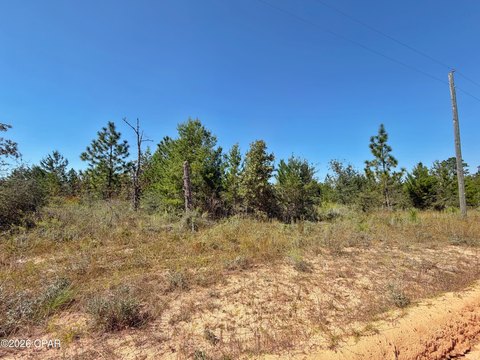 Land, Marianna, FL