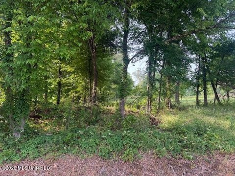 LAND - Hernando, MS