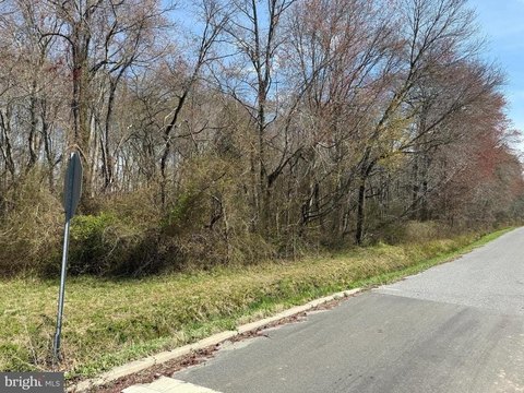 Buildable Conservation District Lot