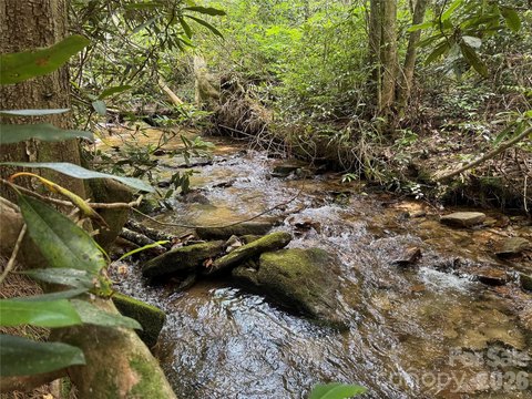 LAND - Rosman, NC