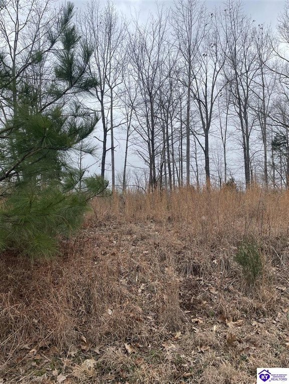 Picture 4