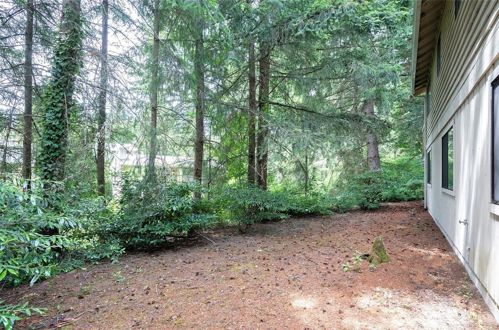 Picture 38