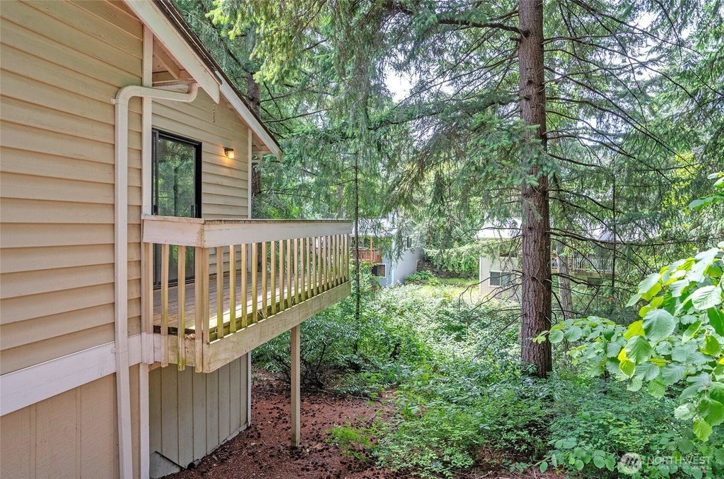 Picture 35