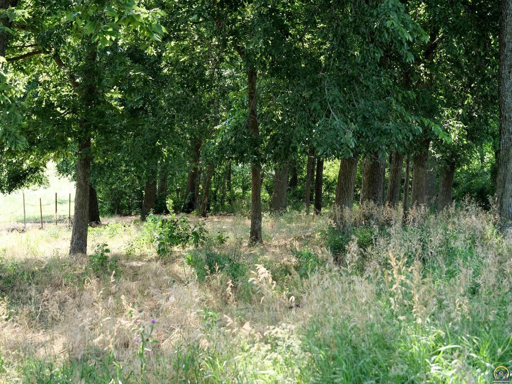 Picture 3