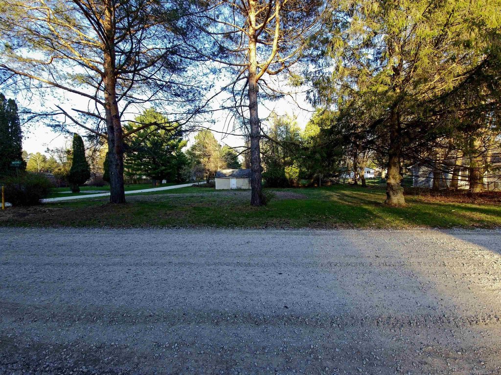 Picture 12