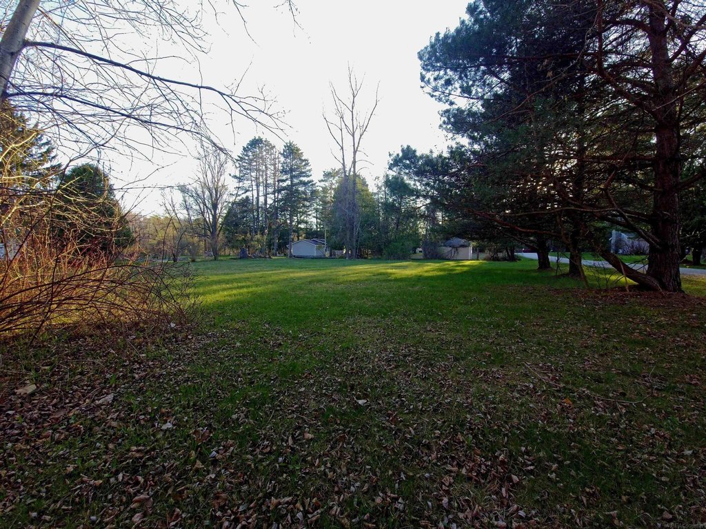 Picture 7