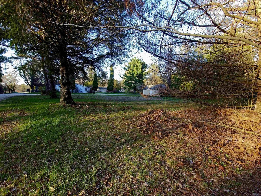 Picture 11