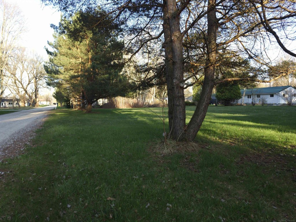 Picture 6