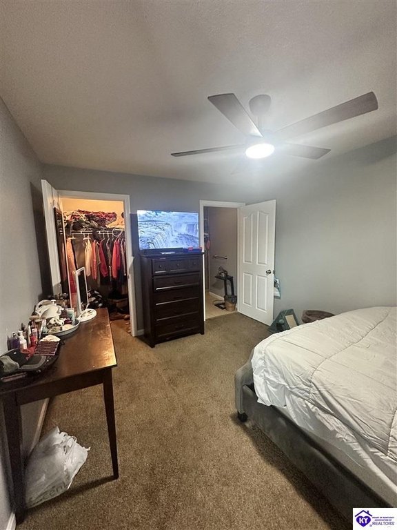 Picture 44
