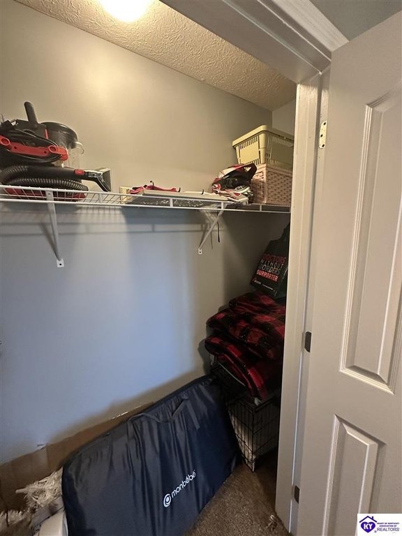 Picture 30