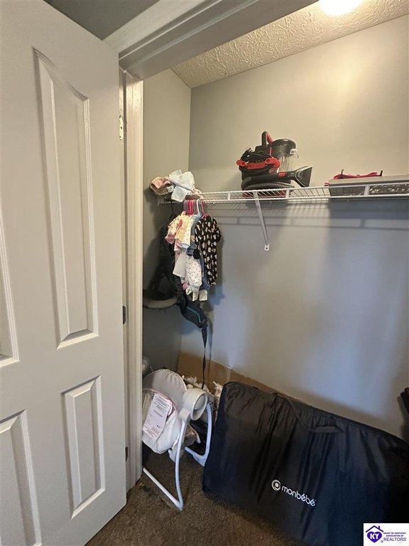 Picture 29