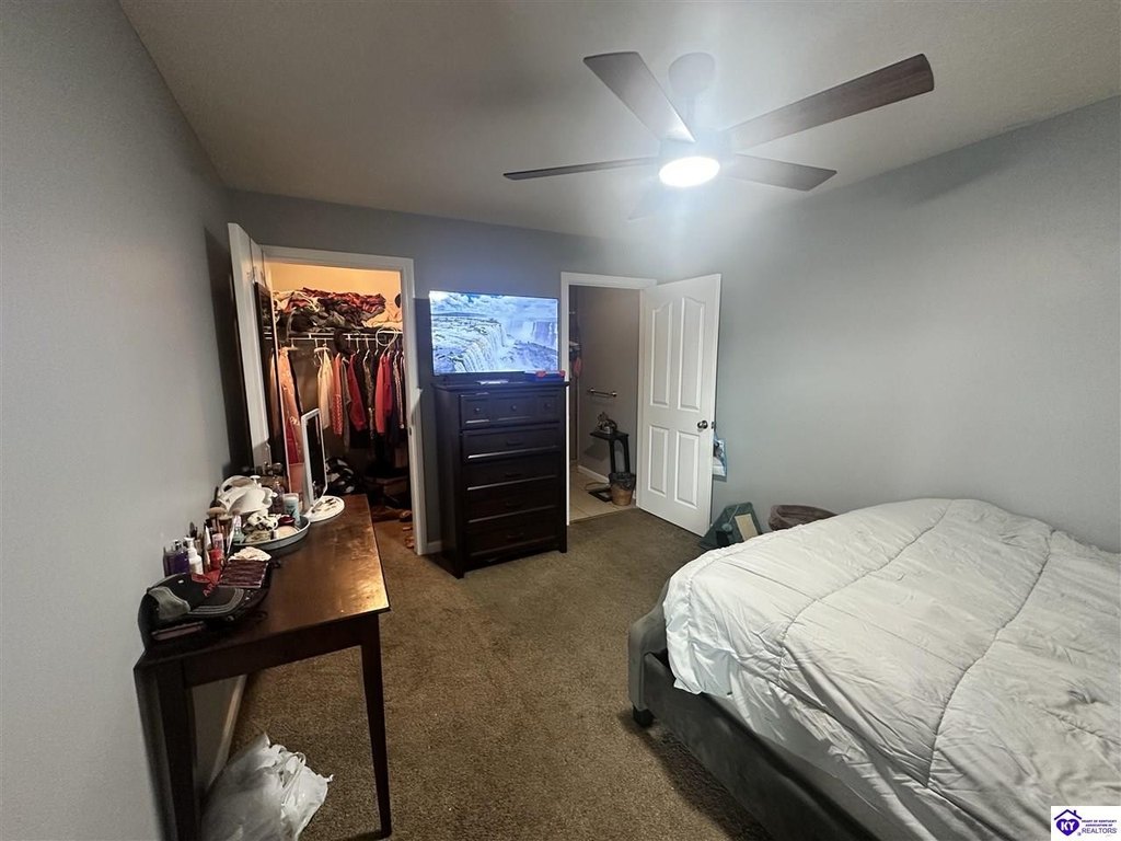 Picture 45