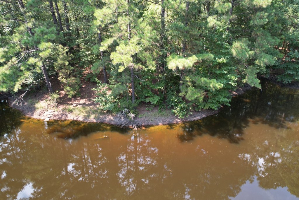 Picture 3