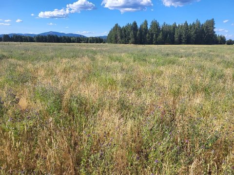 Land, Deer Park, WA