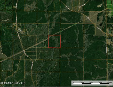 Wooded Hunting Land