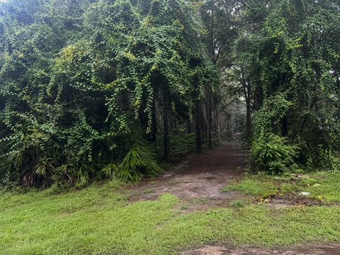 LAND - TRENTON, FL