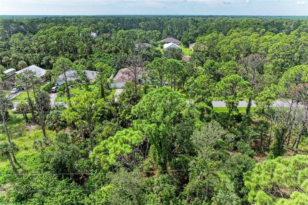 Picture 8