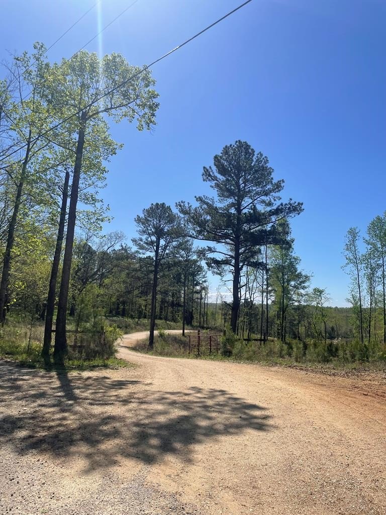 423 Acres of Land, Paris