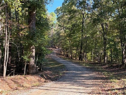 Secluded Dahlonega Land with Creek