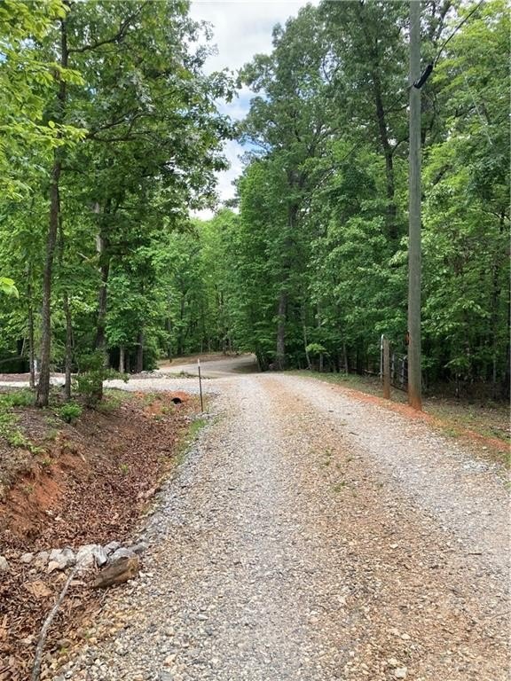 Secluded Dahlonega Land with Creek