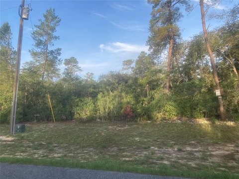 Oversized Lot in Growing Community
