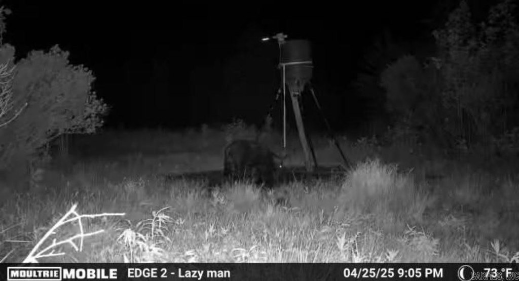 Picture 23