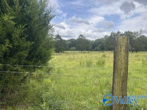 LAND - Decatur, AL