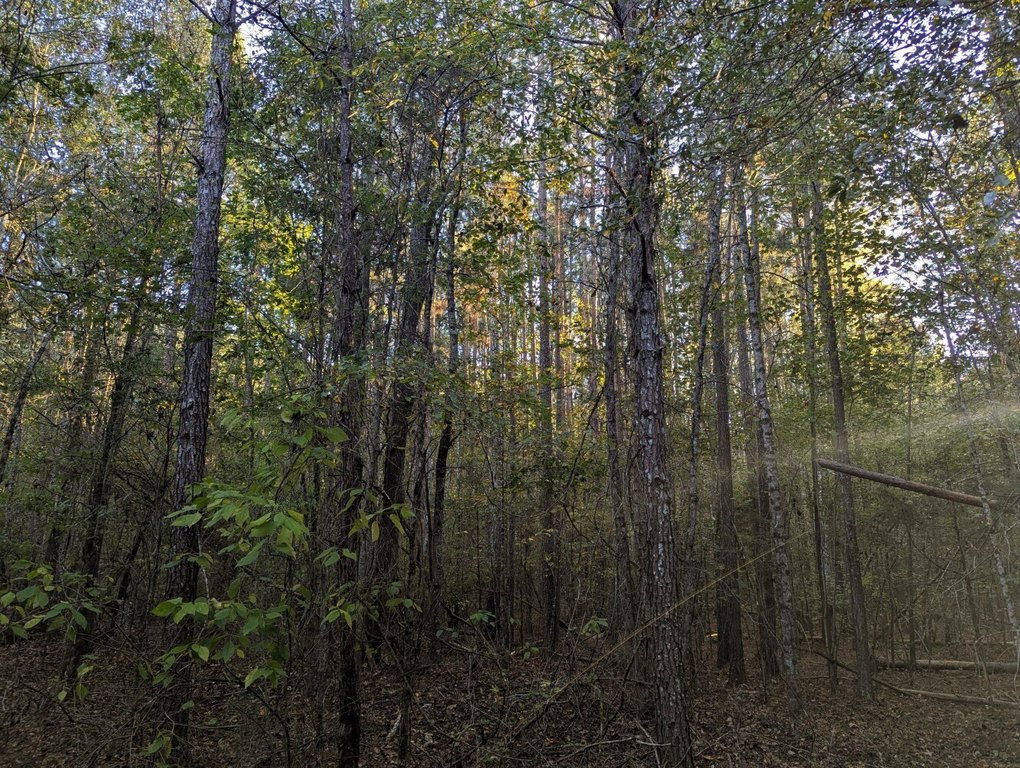 Picture 3