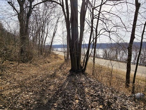 Mississippi River View Acreage