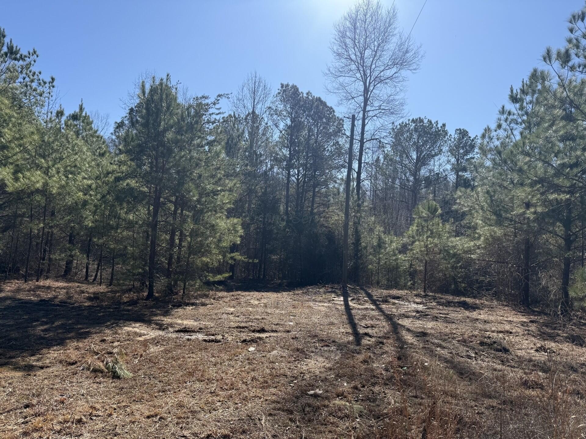 Berry, AL Land Opportunity