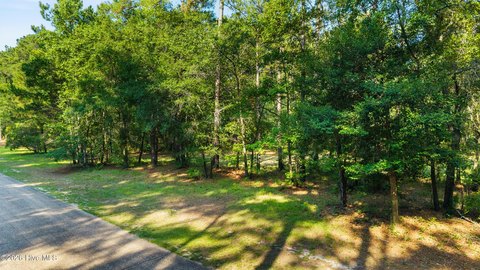 LAND - Wallace, NC