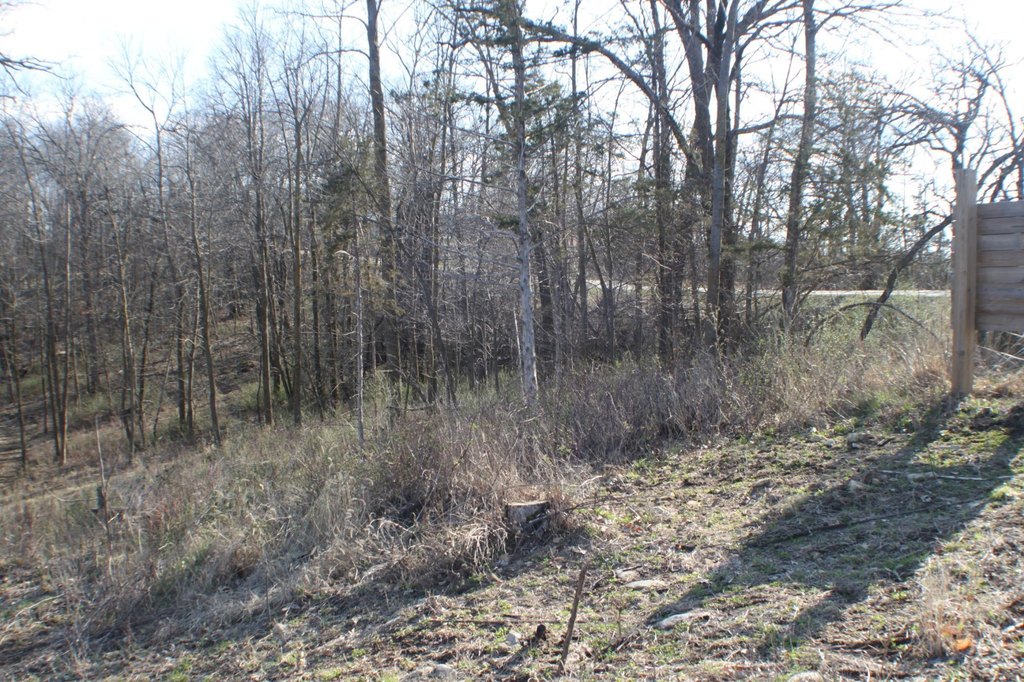 Picture 2