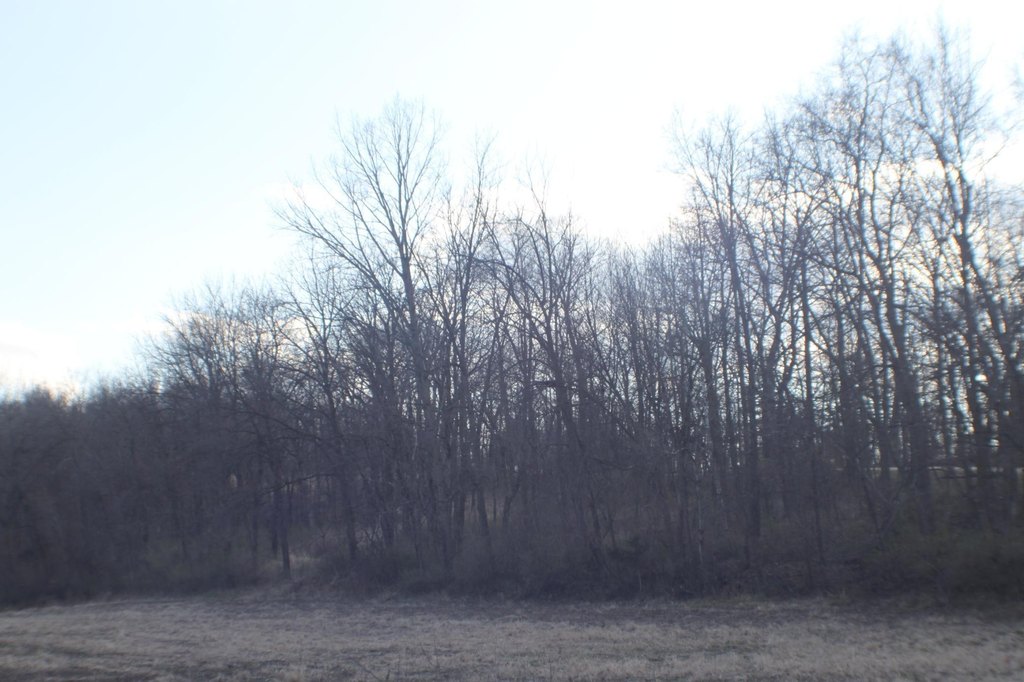 Picture 5