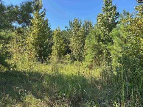 Blythewood Building Lot Opportunity