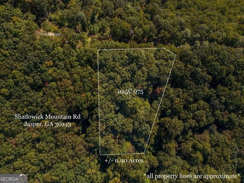 Land with Mountain Views
