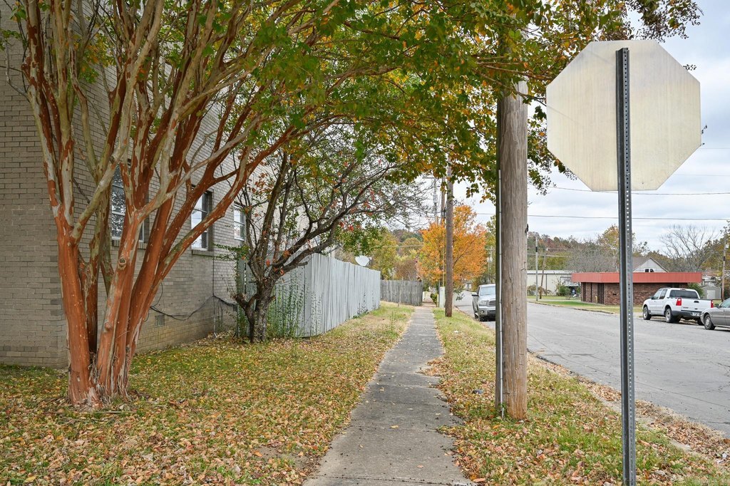 Picture 7