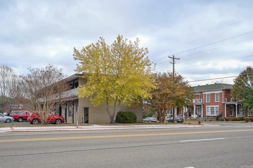 Picture 6